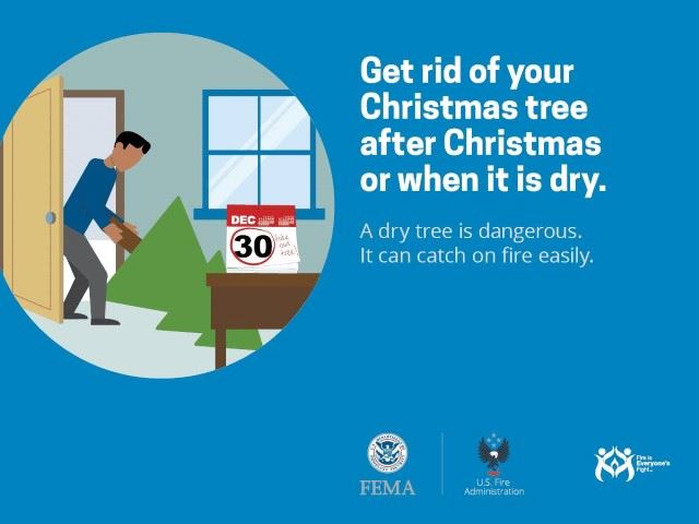 Christmas Tree Safety (Small)